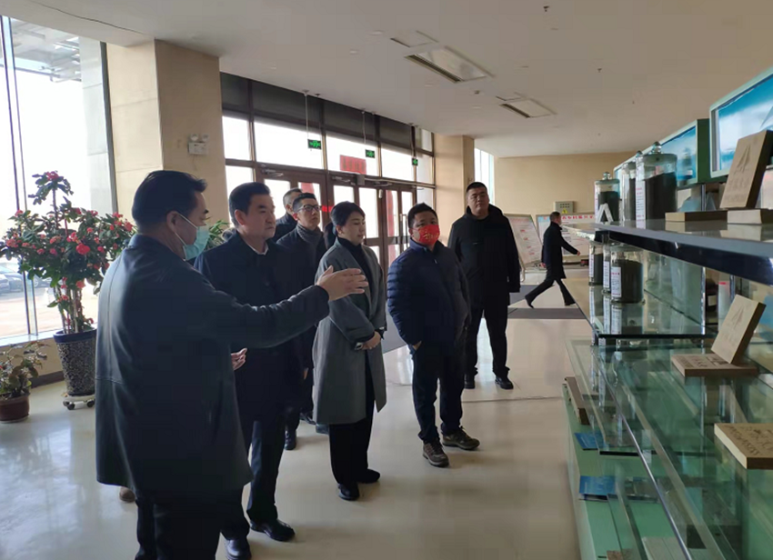 茂隆实业贸易发展总公司总经理薛宝君一行赴新疆沙湾市参观考察